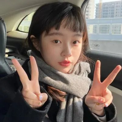 写珍集